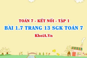 Bài 1.7 trang 13 SGK Toán 7 tập 1 Kết nối tri thức